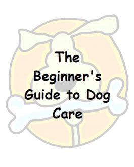 The Beginner’s Guide to Dog Care