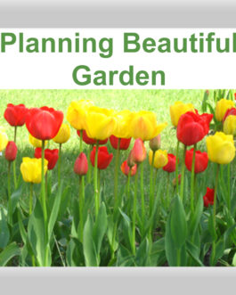 Planning Beautiful Garden