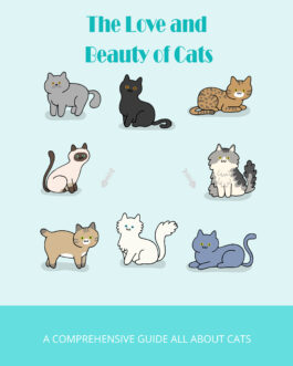 The Love and Beauty of Cats