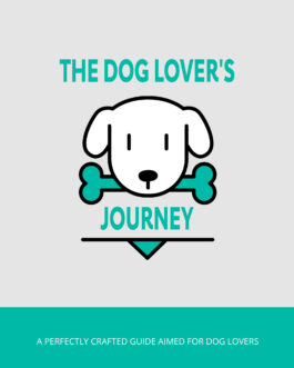 The Dog Lover’s Journey